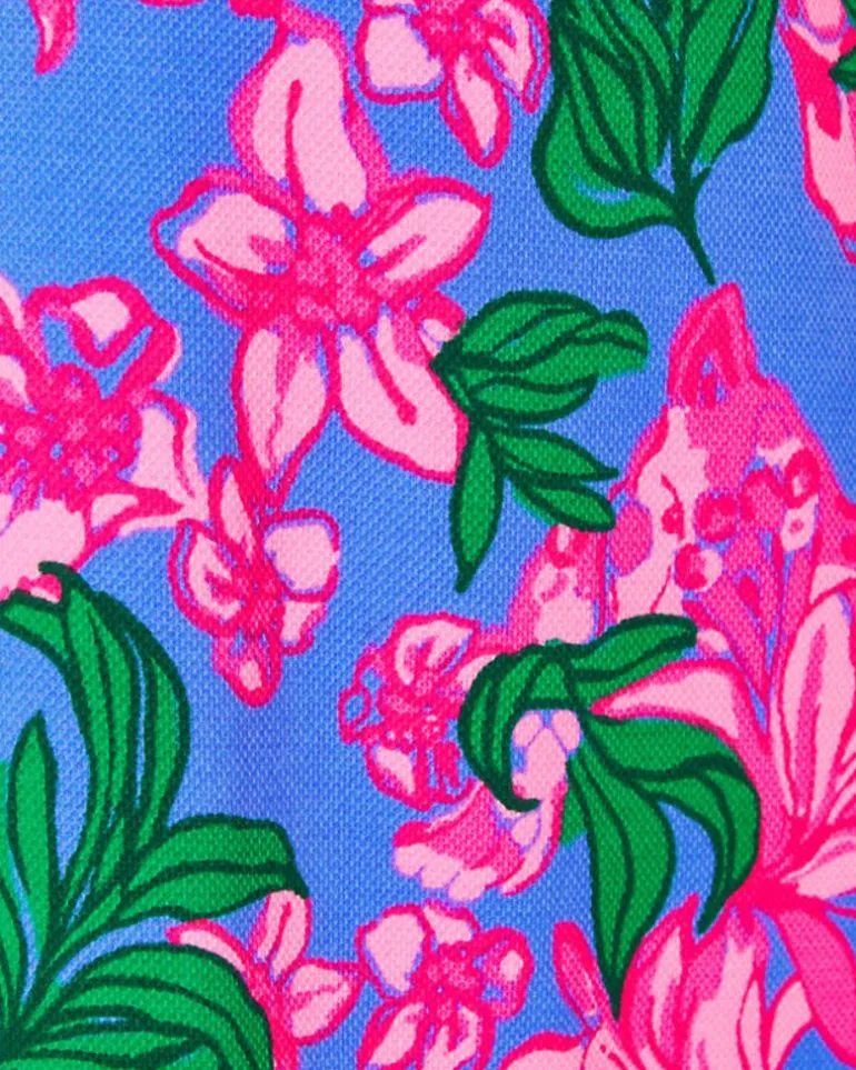 Store Girls Little Lilly Knit Shift Dress Women Girls Dresses & Rompers